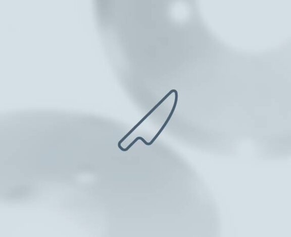 Slicer machines; Machines; Used; Slicer; Reisacher; Precise; Cuts; Requirements; Food industry; Sausages; Cheese; Taste; Protein products; Meat; Cutting performance